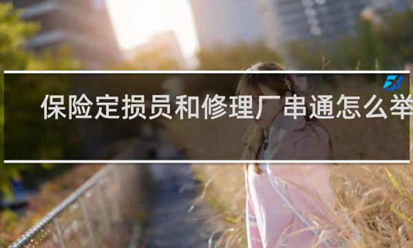 保险定损员和修理厂串通怎么举报