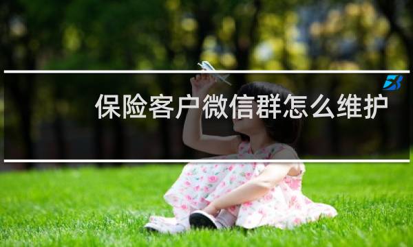 保险客户微信群怎么维护