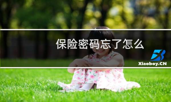 保险密码忘了怎么