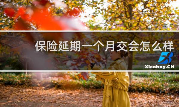 保险延期一个月交会怎么样