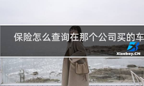保险怎么查询在那个公司买的车险