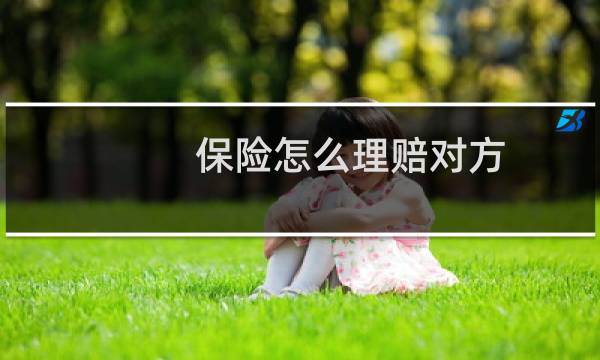 保险怎么理赔对方