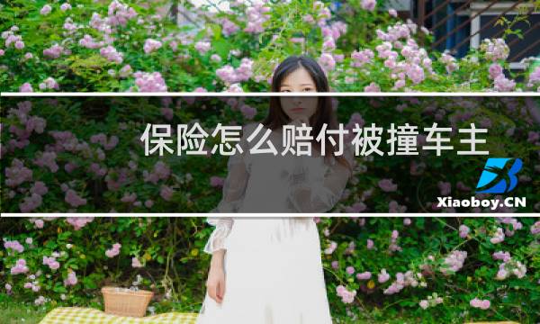 保险怎么赔付被撞车主