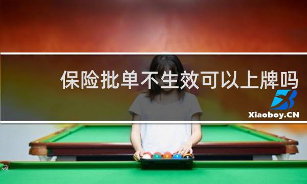 保险批单不生效可以上牌吗