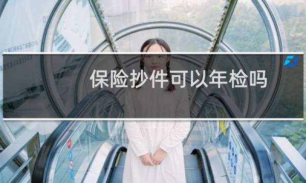 保险抄件可以年检吗