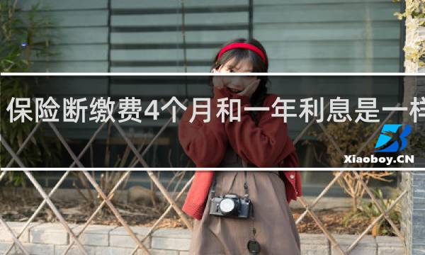 保险断缴费4个月和一年利息是一样的吗