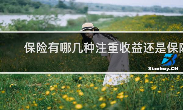 保险有哪几种注重收益还是保障