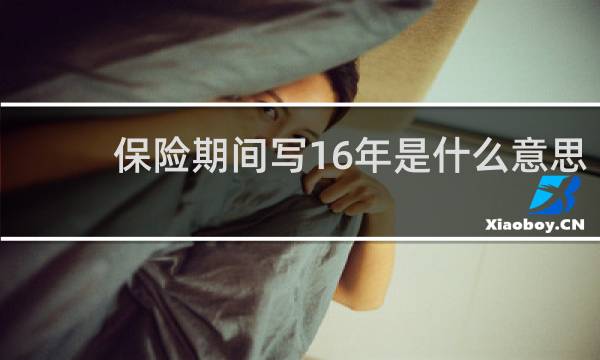保险期间写16年是什么意思