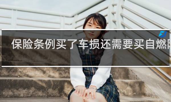 保险条例买了车损还需要买自燃险吗