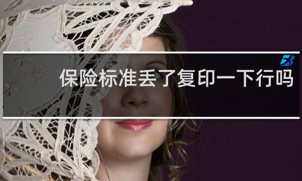 保险标准丢了复印一下行吗