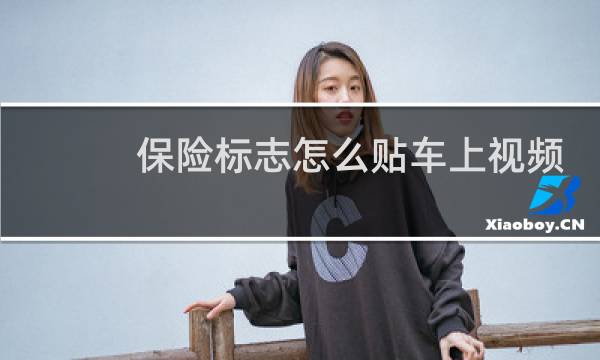 保险标志怎么贴车上视频