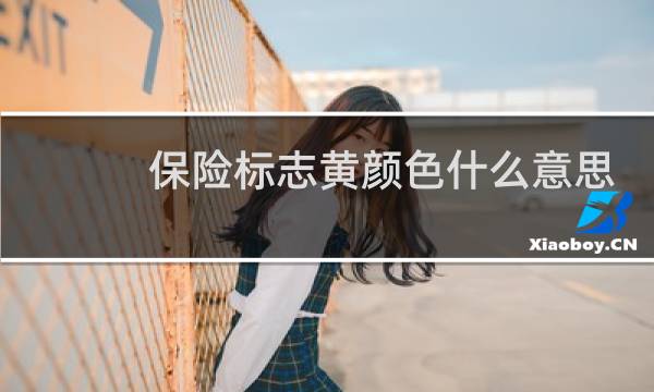 保险标志黄颜色什么意思