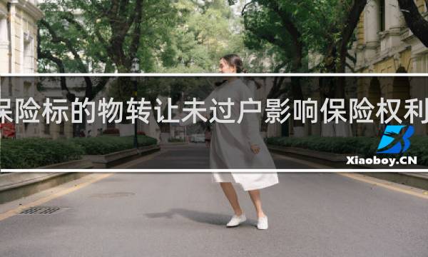 保险标的物转让未过户影响保险权利转移吗