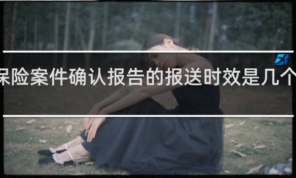 保险案件确认报告的报送时效是几个工作日