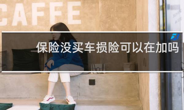 保险没买车损险可以在加吗