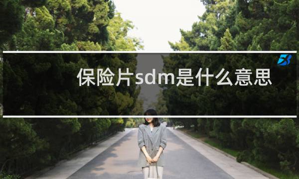 保险片sdm是什么意思