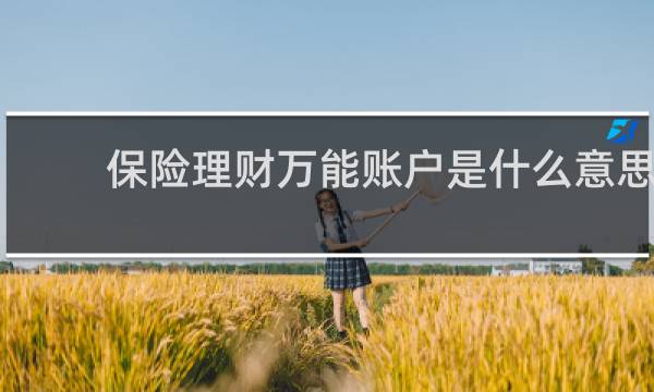 保险理财万能账户是什么意思