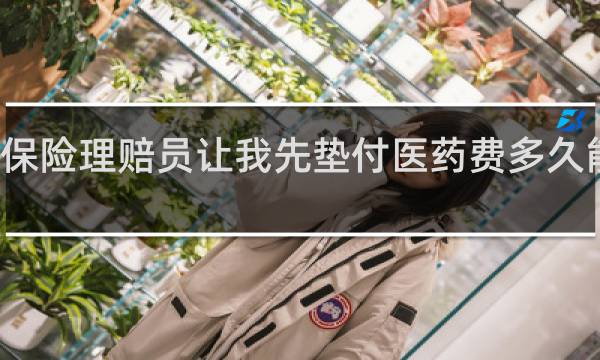 保险理赔员让我先垫付医药费多久能报销