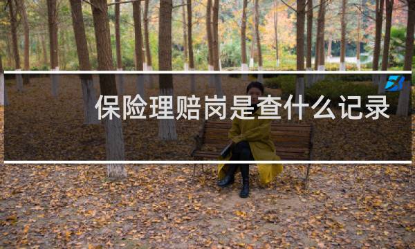 保险理赔岗是查什么记录