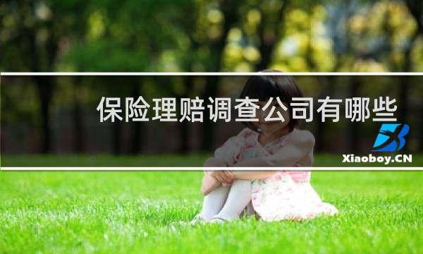 保险理赔调查公司有哪些