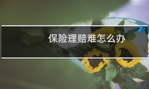 保险理赔难怎么办