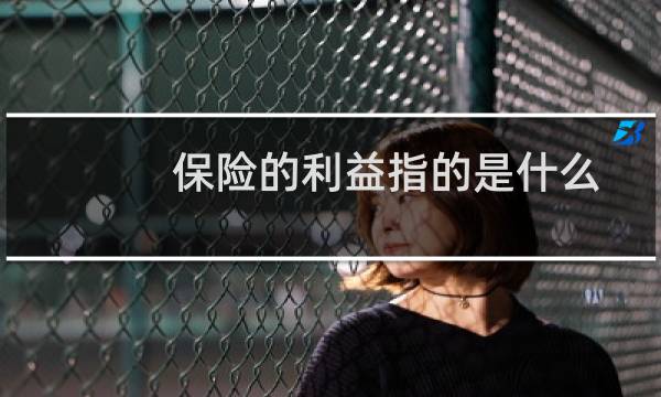 保险的利益指的是什么