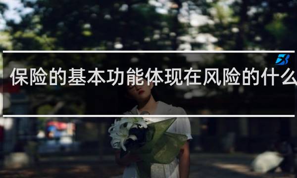 保险的基本功能体现在风险的什么分摊