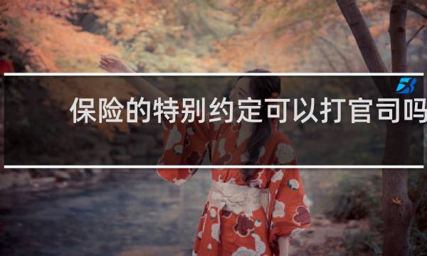 保险的特别约定可以打官司吗