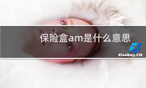 保险盒am是什么意思