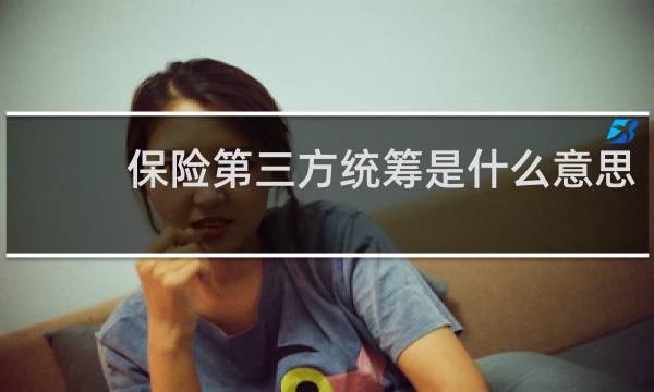 保险第三方统筹是什么意思