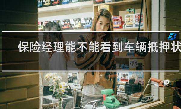 保险经理能不能看到车辆抵押状态