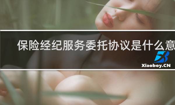 保险经纪服务委托协议是什么意思
