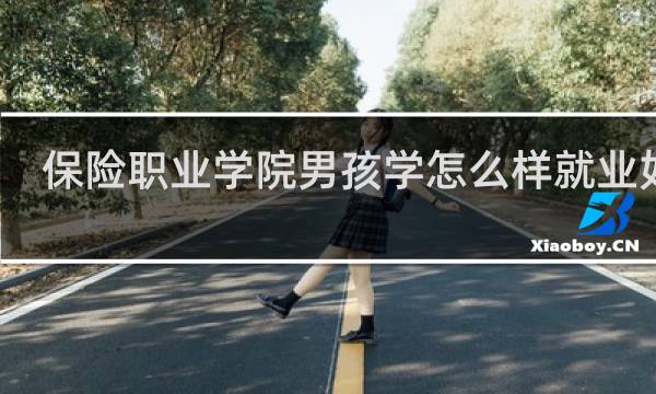 保险职业学院男孩学怎么样就业如何