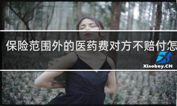保险范围外的医药费对方不赔付怎么办