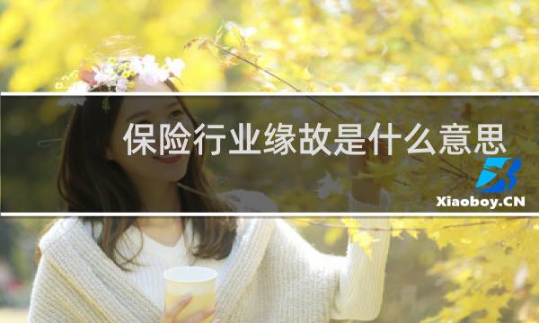 保险行业缘故是什么意思