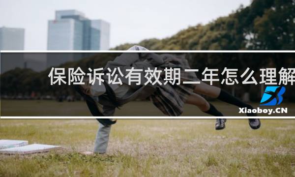 保险诉讼有效期二年怎么理解