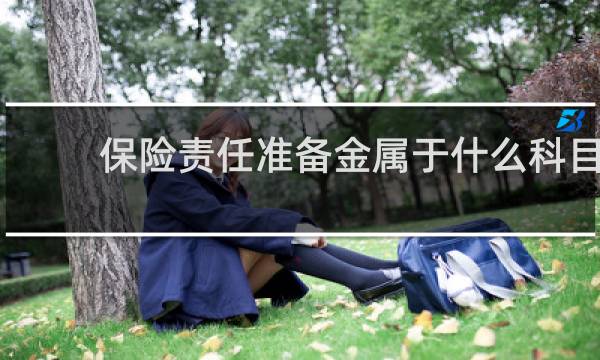 保险责任准备金属于什么科目