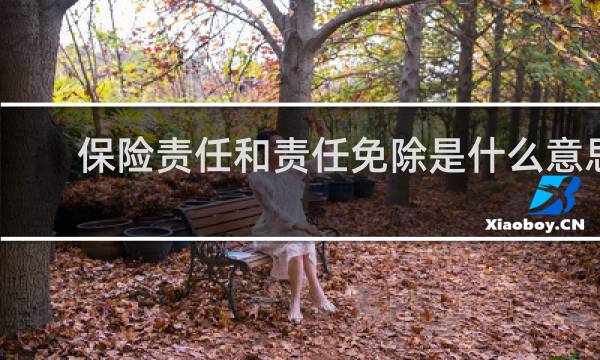 保险责任和责任免除是什么意思