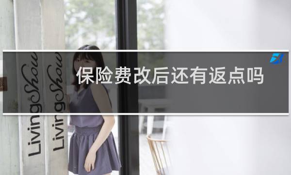 保险费改后还有返点吗