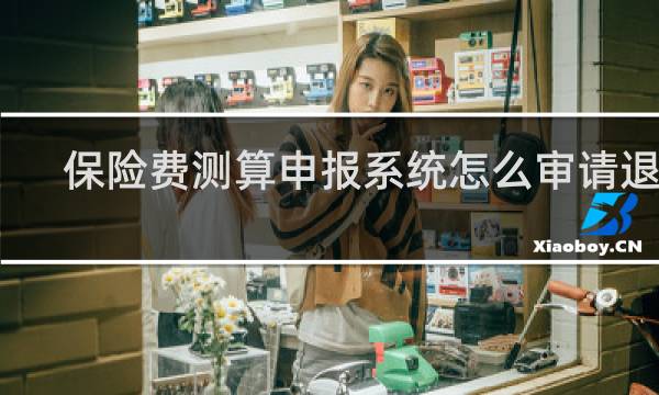 保险费测算申报系统怎么审请退税