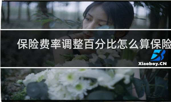 保险费率调整百分比怎么算保险费