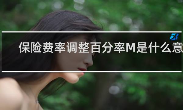 保险费率调整百分率M是什么意思
