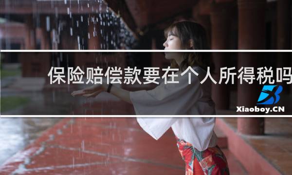 保险赔偿款要在个人所得税吗