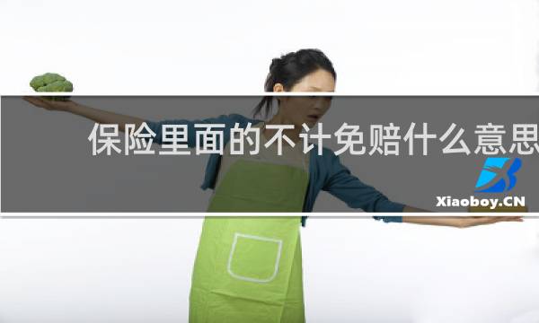 保险里面的不计免赔什么意思