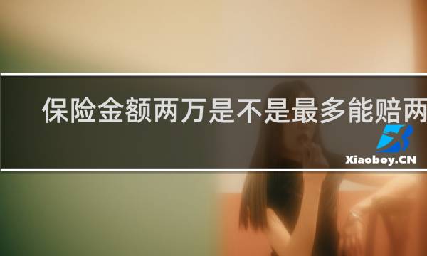 保险金额两万是不是最多能赔两万