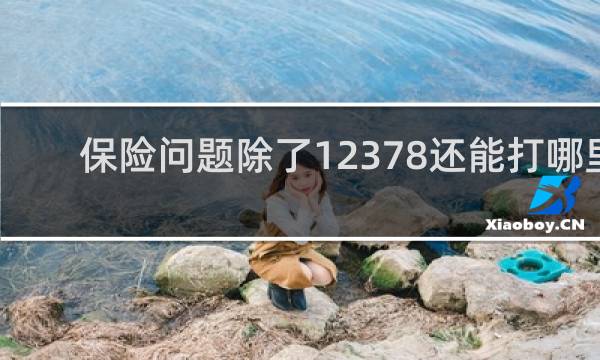 保险问题除了12378还能打哪里