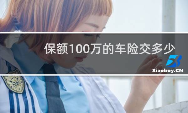 保额100万的车险交多少