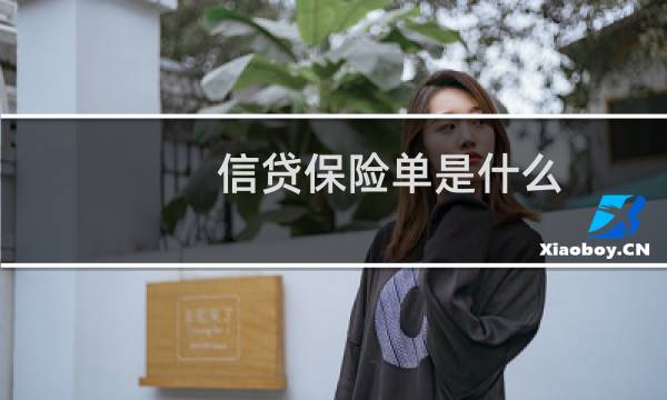 信贷保险单是什么