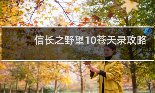 信长之野望10苍天录攻略