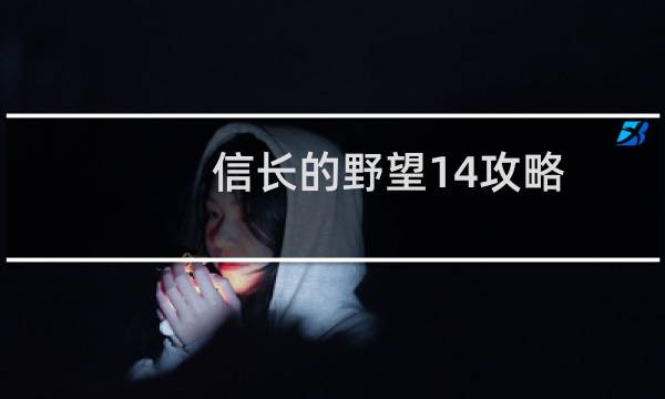 信长的野望14攻略